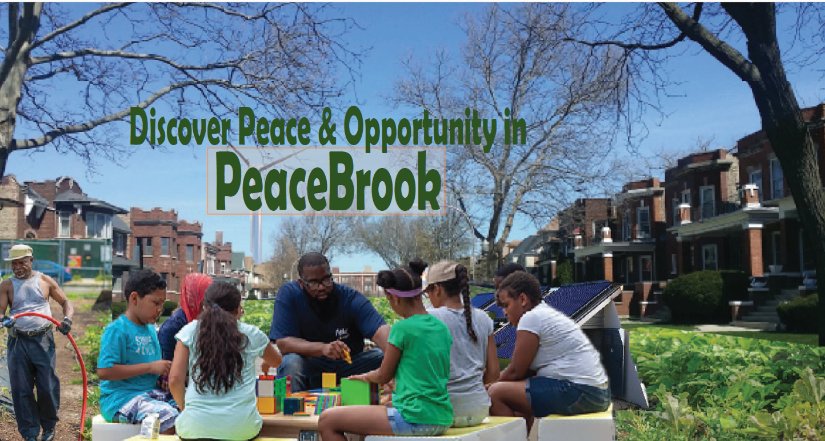 Discover Peace & Opportunity in PeaceBrook